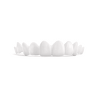 Custom Snap-On Veneers - Dual Arch - Bright White